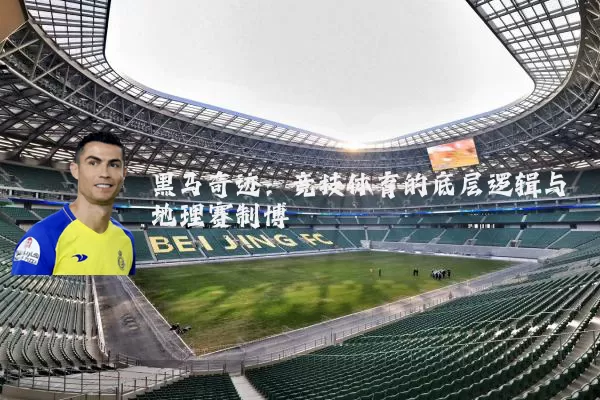 黑马奇迹：竞技体育的底层逻辑与地理赛制博弈